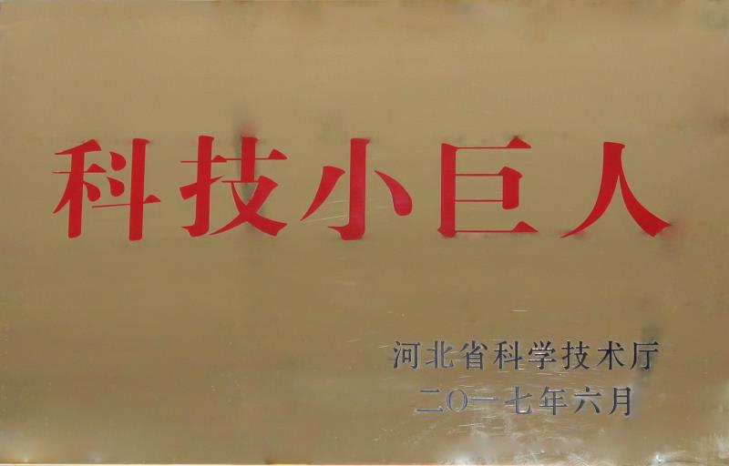 河北省科技小巨人