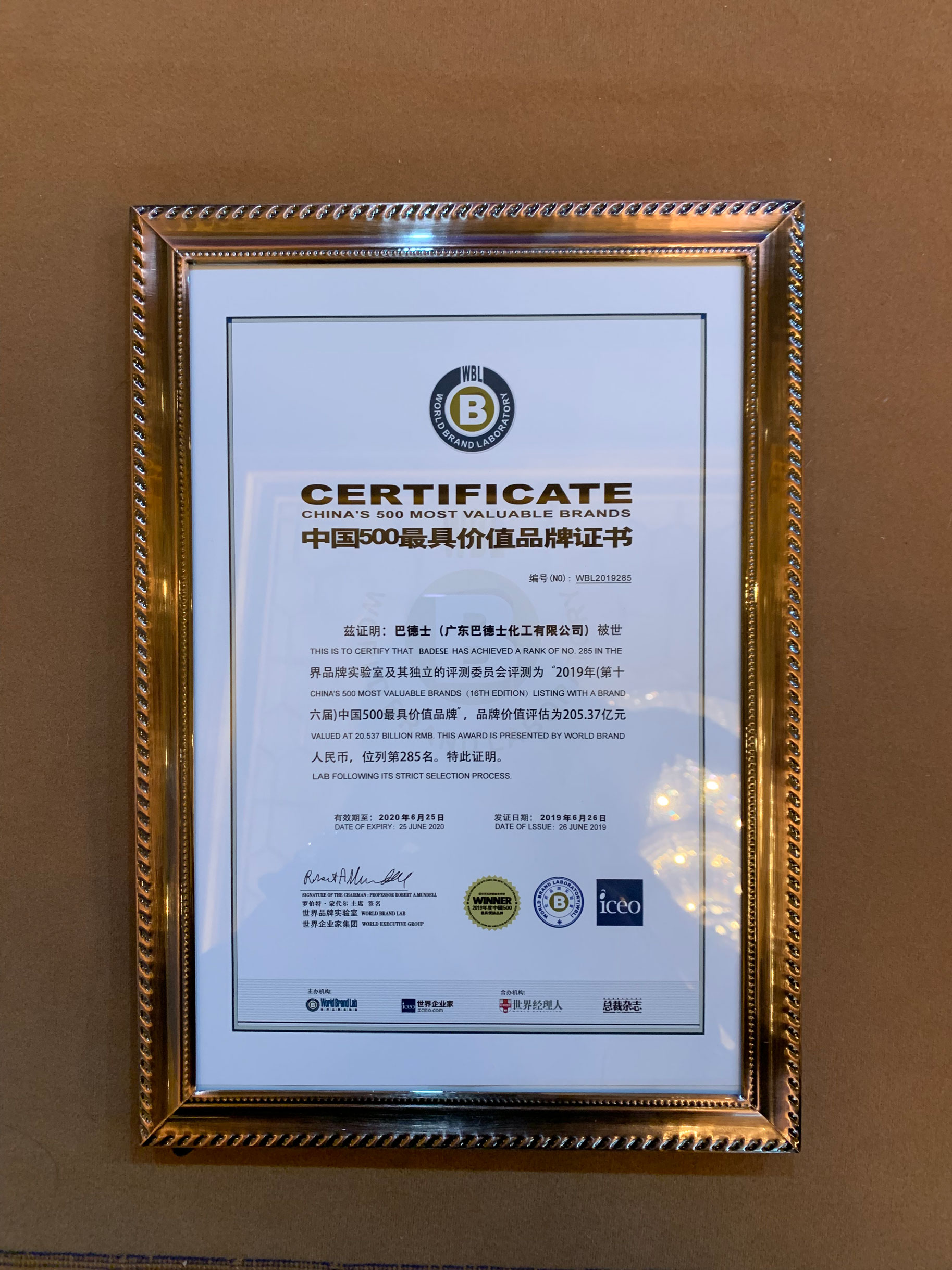 2019年中国500最具价值品牌