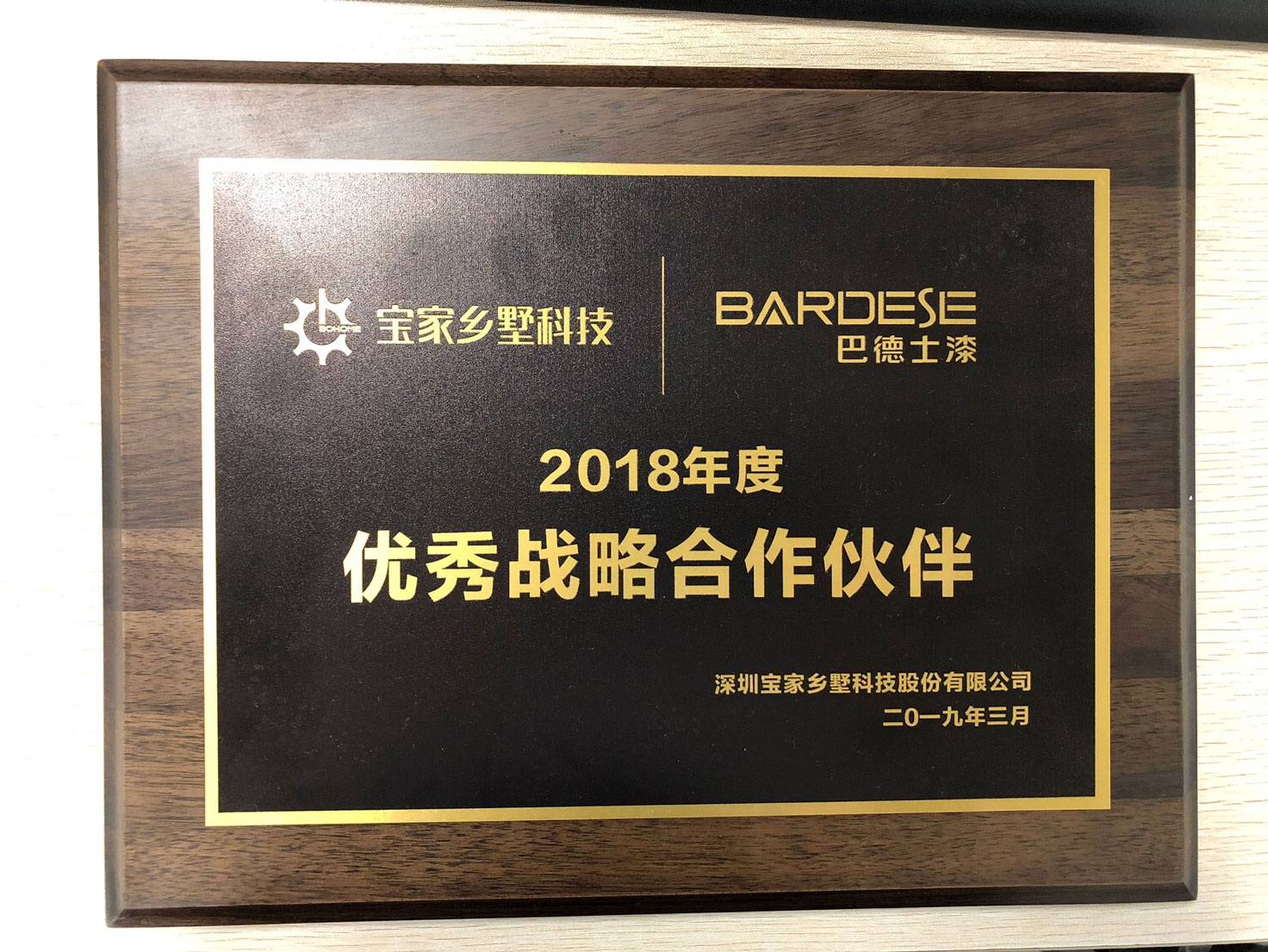 2018宝家乡墅科技优秀战略合作伙伴