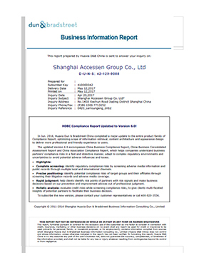 D&B-Business-Information-Report-No